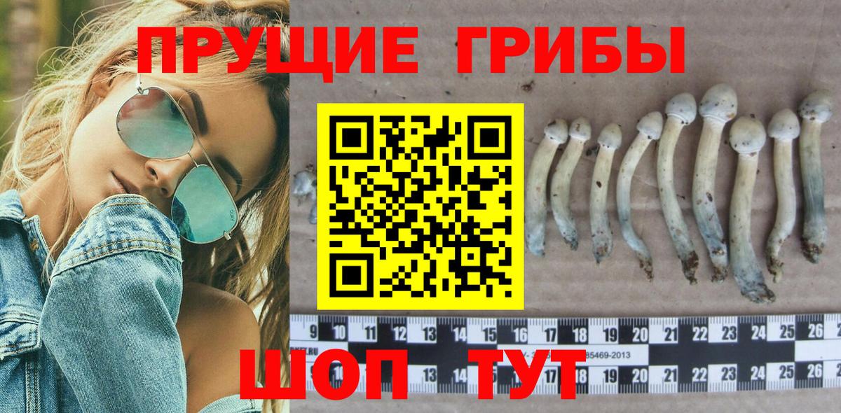 Галлюциногенные грибы прущие грибы  Вход с VPN  Можайск 